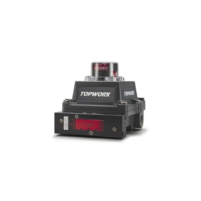 EMERSON TOPWORX DXP-L21GSEB - SPDT