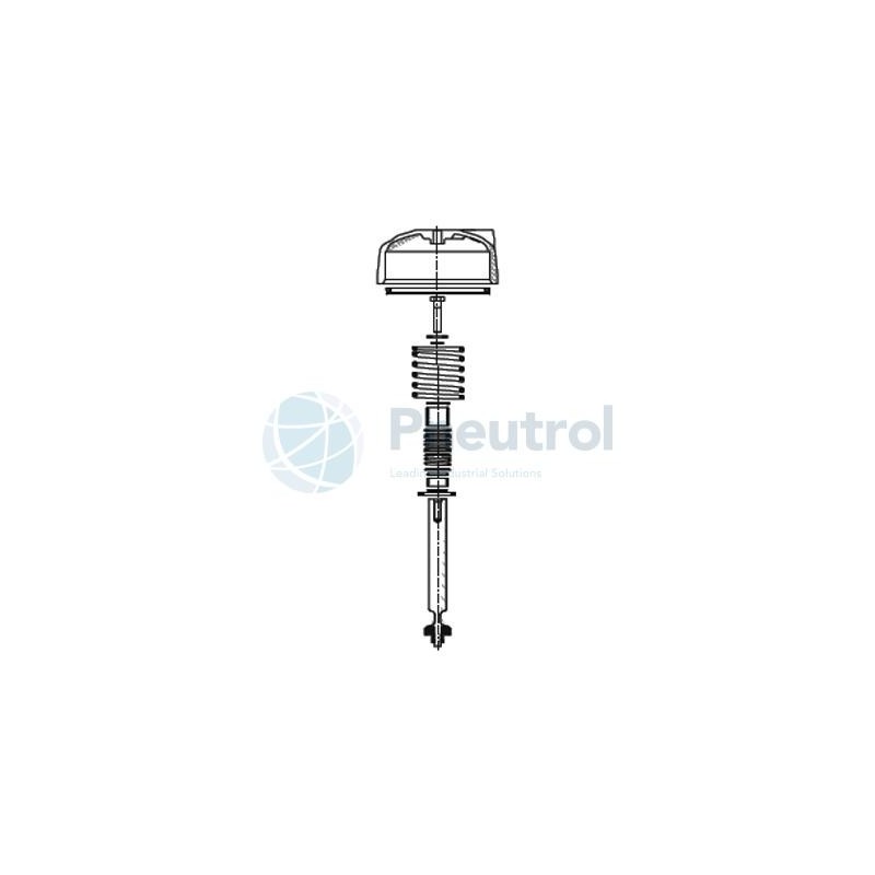 ASCO M29852671400100 - DN15, NC, Repair Kit for Series T298 Pressure Operated with Flanges