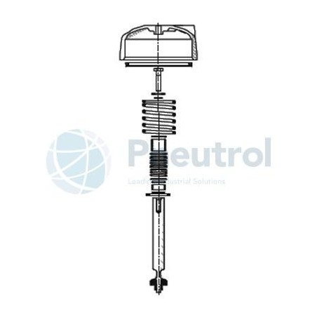 ASCO M29852671400100 - DN15, NC, Repair Kit for Series T298 Pressure Operated with Flanges