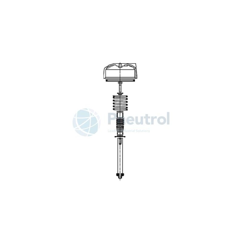 ASCO M29852671400200 - DN15, NO, Repair Kit for Series T298 Pressure Operated with Flanges