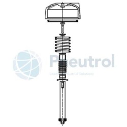 ASCO M29852671400500 - DN20, NO, Repair Kit for Series T298 Pressure Operated with Flanges