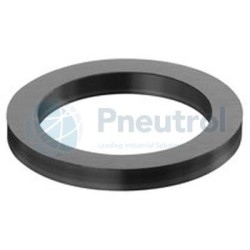 AVENTICS - 1820209012 - Sealing ring (SEAL RING 5,3X7,7X1-PVC RIGIDE) - 100 PCS