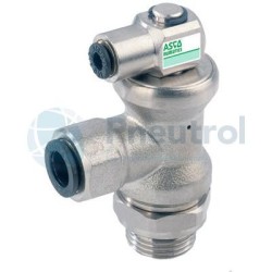 ASCO 34602448 - G1/8, Orientable Cylinder Blocking Fitting