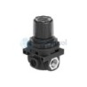 34202048 - EMERSON ASCO - Series 342 Miniature Regulator