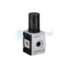 AVENTICS - R412006160 - Precision pressure regulator, Series AS2-RGP-DS (AS2-RGP-G014-GAN-010-DS)