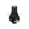 AVENTICS - 0821300711 - Pressure regulator, Series NL1-RGS-DS (NL1-RGS-G014-GAN-MAN-030-DS)