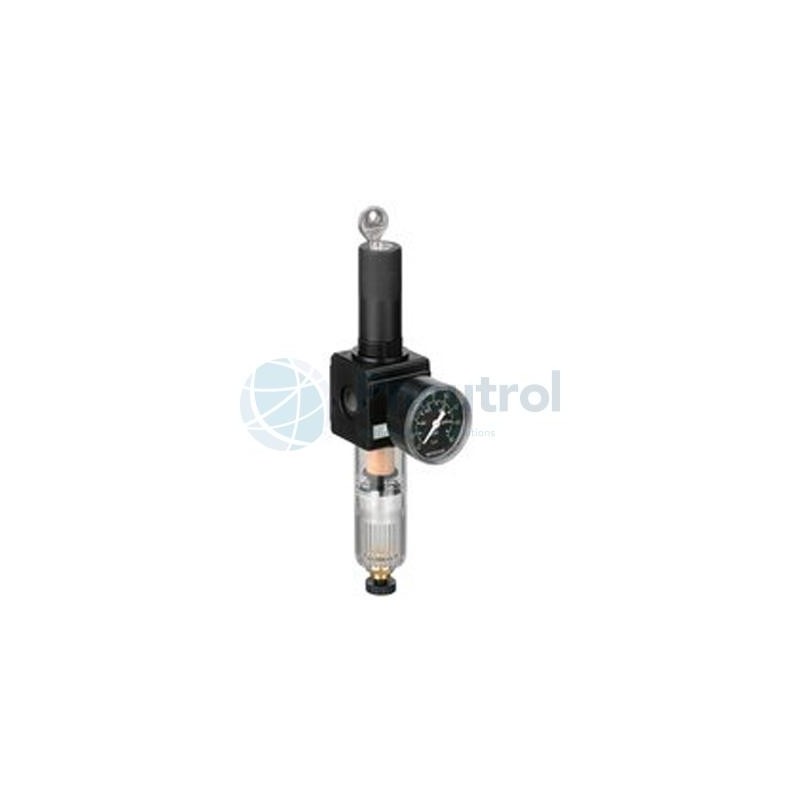 AVENTICS - 0821300221 - Filter pressure regulator, Series NL2-FRE (NL2-FRE-G014-GAU-100-SSS-HO-05,00)