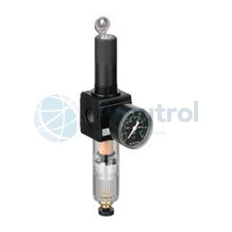 AVENTICS - 0821300221 - Filter pressure regulator, Series NL2-FRE (NL2-FRE-G014-GAU-100-SSS-HO-05,00)