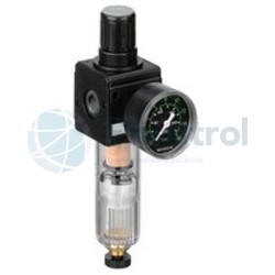 AVENTICS - 0821300301 - Filter pressure regulator, Series NL2-FRE (NL2-FRE-G014-GAU-100-PBS-HO-05,00)