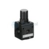 AVENTICS - 0821302507 - Pressure regulator, Series NL4-RGS-DS (NL4-RGS-G012-GAN-MAN-100-DS)