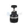 AVENTICS - 0821302445 - Precision pressure regulator, Series PR1-RGP (PR1-RGP-G014-GAN-SS P(0,05-2,00))