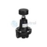 AVENTICS - R412010259 - Precision pressure regulator, Series PR1-RGP (PR1-RGP-G014-GAN-SS-P(0,1-01,00))