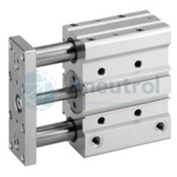 AVENTICS - 0822060000 - Guide cylinders, Series GPC-BV (GPC-DA-012-0010-BV-SB)