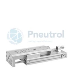 AVENTICS - R412018910 - Mini slide, Series MSC-HG-EE (MSC-DA-020-0010-HG-EE-EE-02-M-S-0-0-ACC)