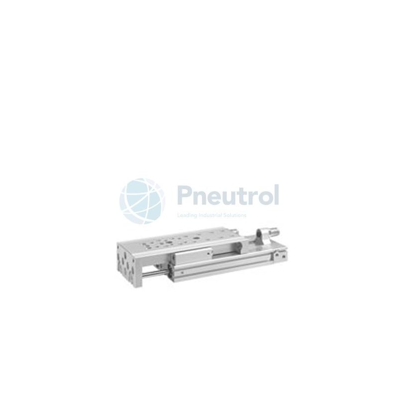 AVENTICS - R412018910 - Mini slide, Series MSC-HG-EE (MSC-DA-020-0010-HG-EE-EE-02-M-S-0-0-ACC)