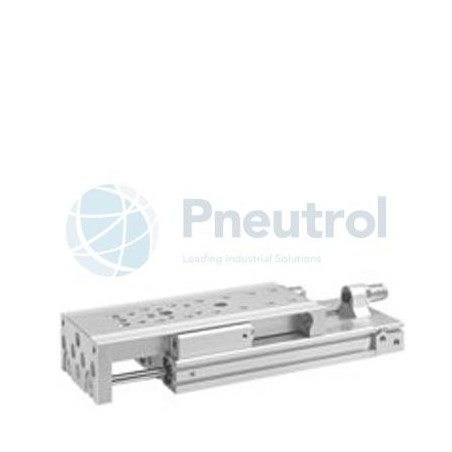 AVENTICS - R412018910 - Mini slide, Series MSC-HG-EE (MSC-DA-020-0010-HG-EE-EE-02-M-S-0-0-ACC)