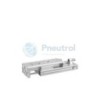 AVENTICS - R412018910 - Mini slide, Series MSC-HG-EE (MSC-DA-020-0010-HG-EE-EE-02-M-S-0-0-ACC)