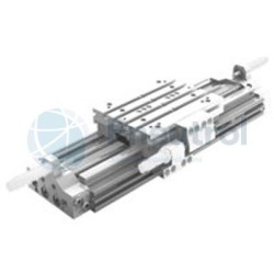 AVENTICS - R480163938 - Rodless cylinder, Series CKP (CKP-DA-016-0100-TG-MM00S007LP000P0P0)