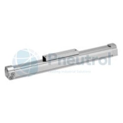 AVENTICS - R480141454 - Rodless cylinder, Series RTC-BV (RTC-DA-025-0100-BV-MM00S00BLP000P0P0)