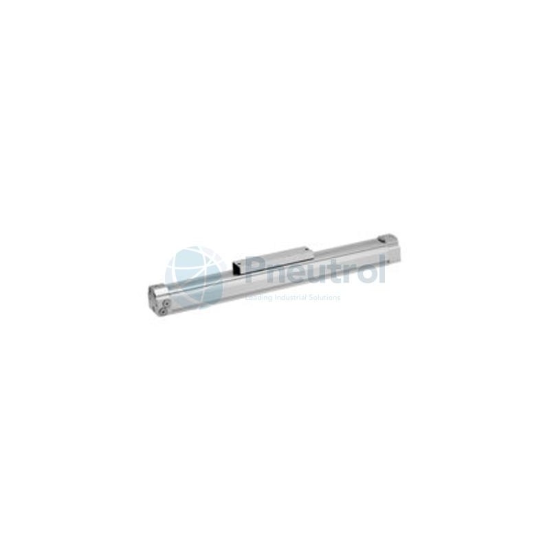 AVENTICS - R480141454 - Rodless cylinder, Series RTC-BV (RTC-DA-025-0100-BV-MM00S00BLP000P0P0)