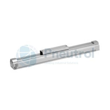 AVENTICS - R480141454 - Rodless cylinder, Series RTC-BV (RTC-DA-025-0100-BV-MM00S00BLP000P0P0)