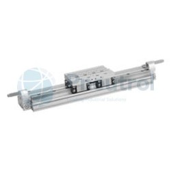 AVENTICS - R480146987 - Rodless cylinder, Series RTC-HD (RTC-DA-050-0600-HD-MM00S00BLP000P0P0)