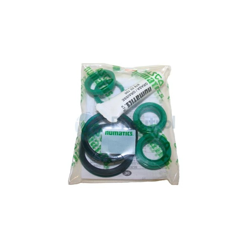 97800272 - EMERSON ASCO - Series 435 Spares Parts Kit