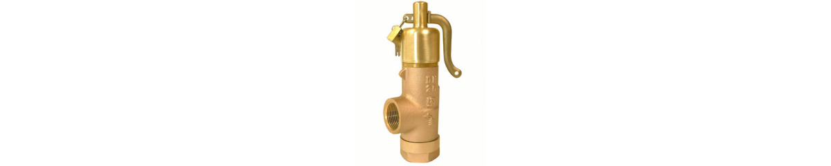 Safety Valves