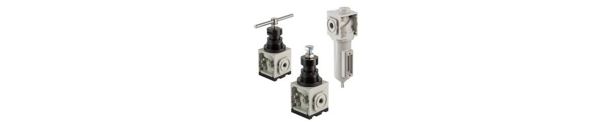 Series 646 Pressure Regulator and Filter