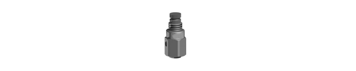 Series RG1 Manually operated pressure regulators