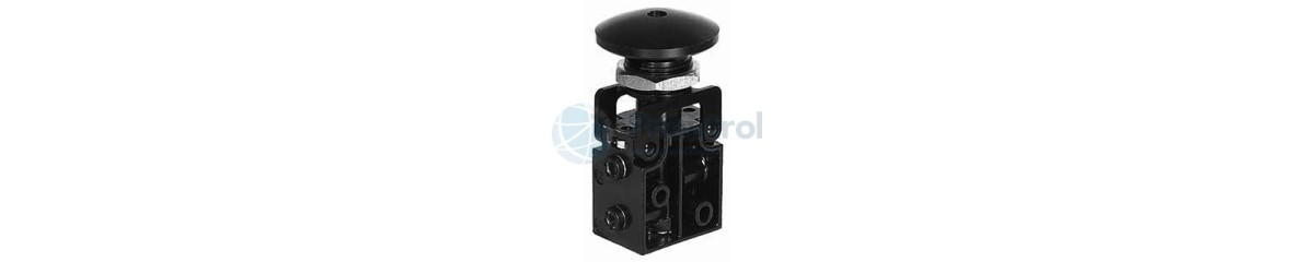 Series 310 Push Button Valves