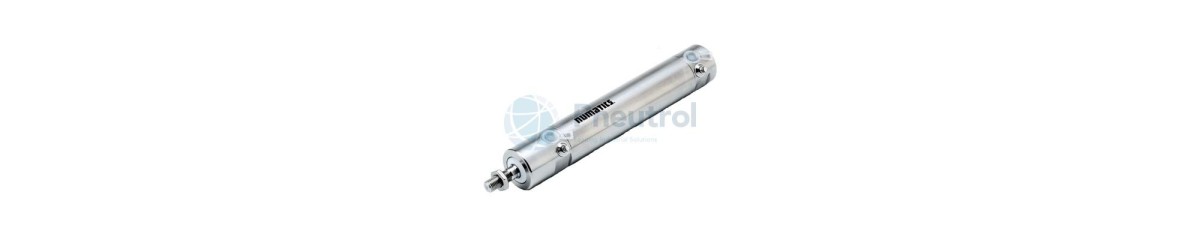 Series 431 Anti Corrosive Cylinders