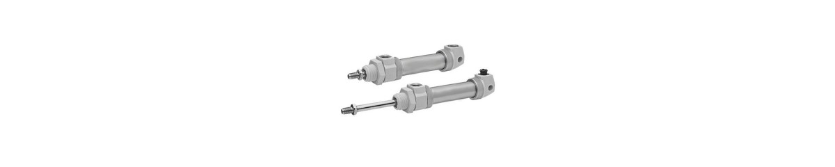 Series ICM Mini cylinders