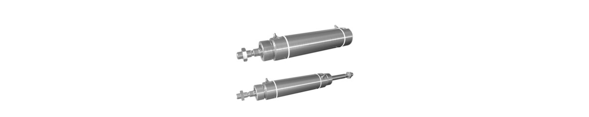 Series ICS-D2 Stainless Steel Round Cylinders