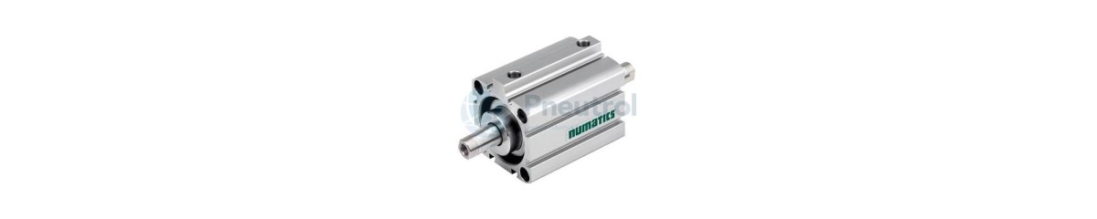 Series 441 Short Stroke Cylinders (Type G441)