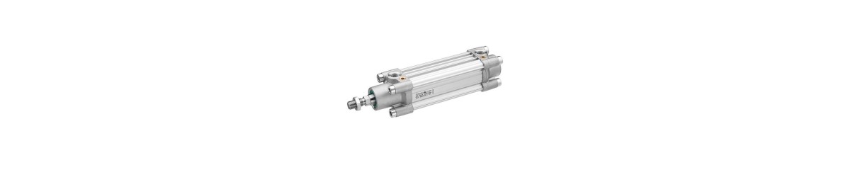 Series PRA Pneumatic Cylinders (ISO 15552)