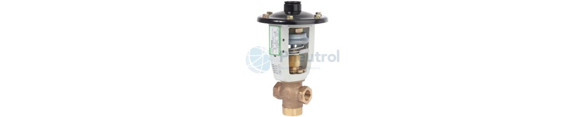 Series 166 Heavy Duty Piston Valves