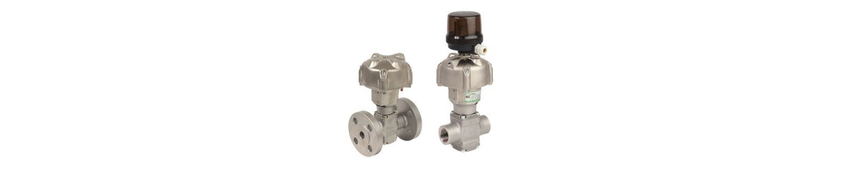 Series 298 Stainless Steel Piston Valve