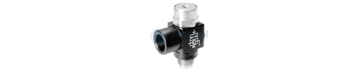 Series NCPPG NCPGG Pilot Operated Check Valves