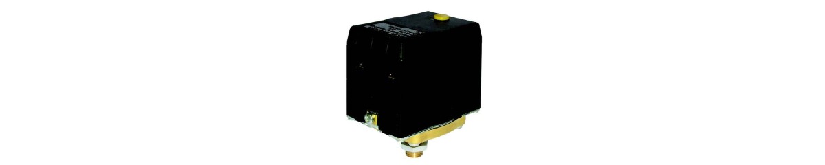 Series P203 Two Pole Pressure Switch