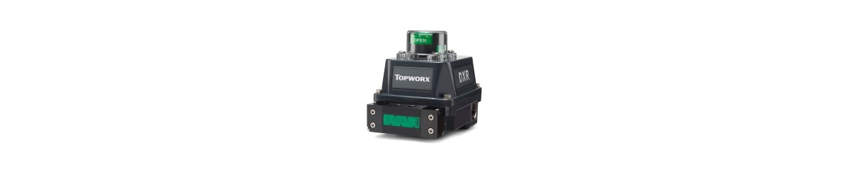 Topworx DXR