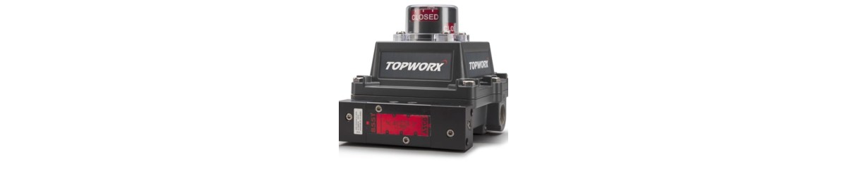 Topworx ESD