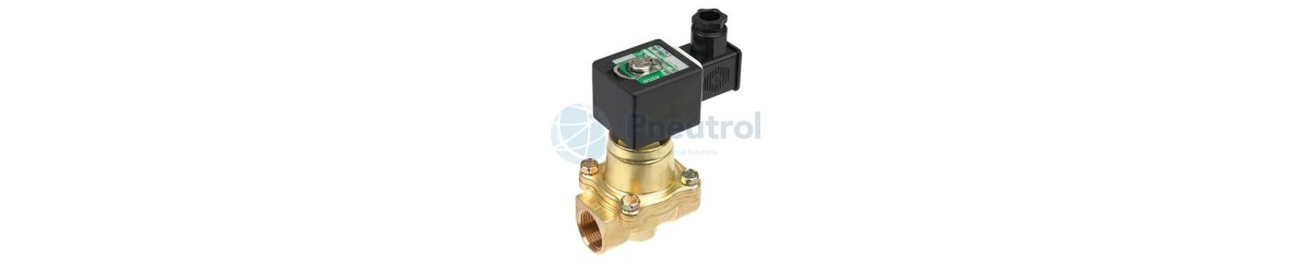 Series 222LT Pilot Operated Hung Piston Cryogenic Solenoid Valves