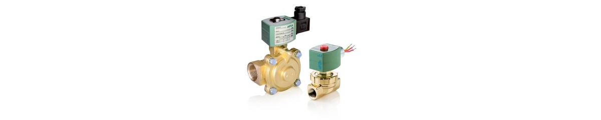 Series 220 Steam and Hot Water Solenoid Valves