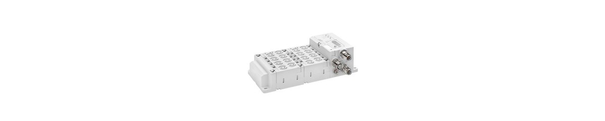 Series AES Fieldbus Modules