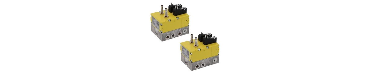 Series SV01 SV03 SV05 Safety valves