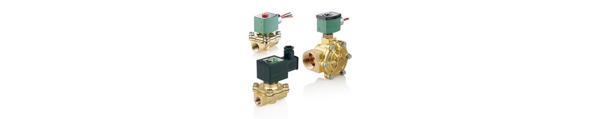 Series 210 2-Way Solenoid Valve