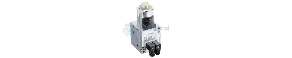 Series ED05 Direct Acting Pressure Regulator